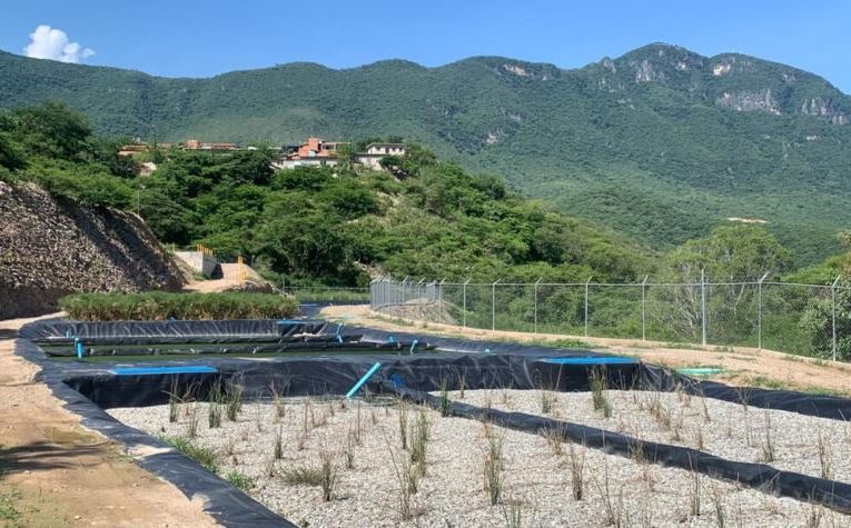 Minera Media Luna construye humedal artificial para tratamiento de aguas residuales