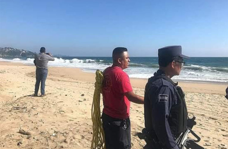 Cocodrilo aparece en playa de Acapulco; piden extremar precauciones