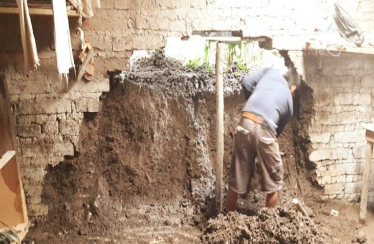 En Guerrero, lluvias dejan árboles caídos, casas y carreteras dañadas