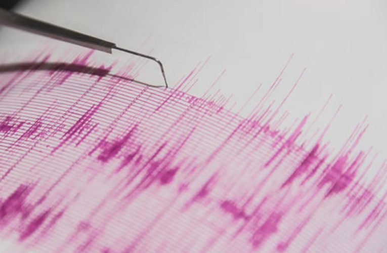 Sismo de magnitud 4.3 se registra en Guerrero; no amerita alerta en CDMX