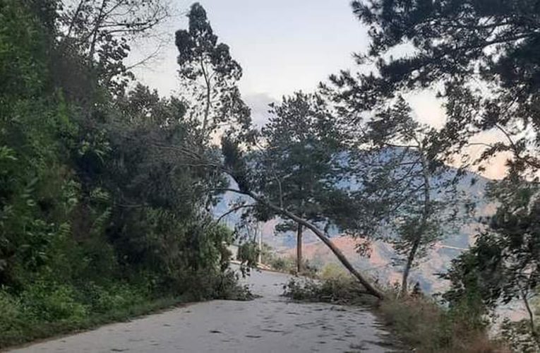 Fuertes vientos tumban árboles, postes de la CFE y levantan techos en Guerrero