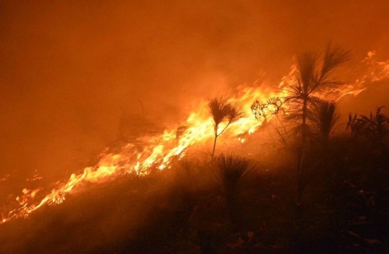 Reportan incendio fuera de control en Heliodoro Castillo, Guerrero