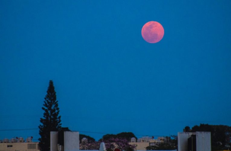 Superluna rosa: las mejores imágenes del fenómeno astronómico desde México