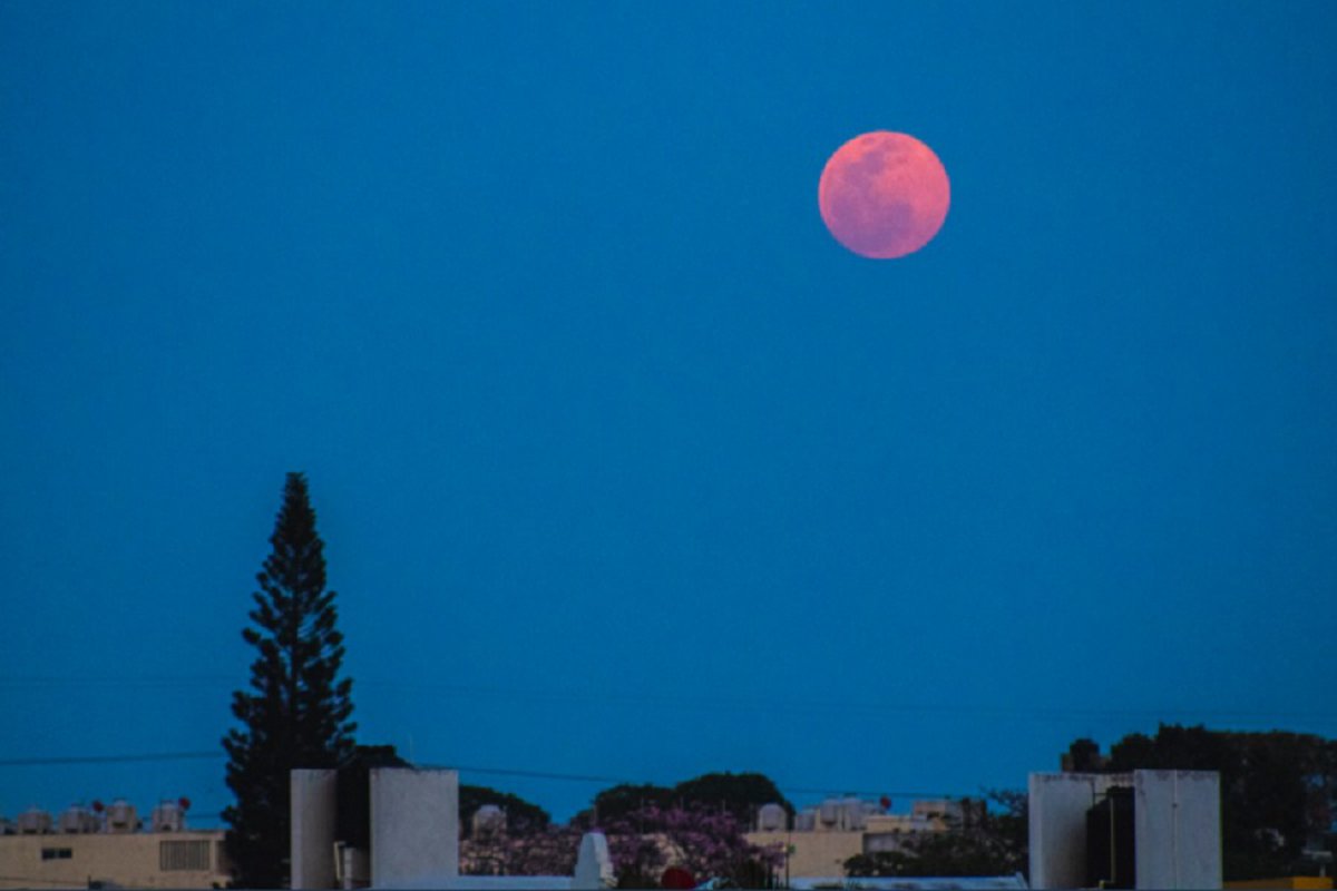 Imagen de la superluna rosa, este 26 de abril de 2021, desde Tampico, Tamaulipas (Foto: Twitter @Ian_281107_EA)