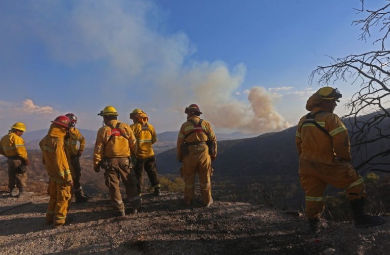 Conafor reporta 91 incendios forestales activos en el país