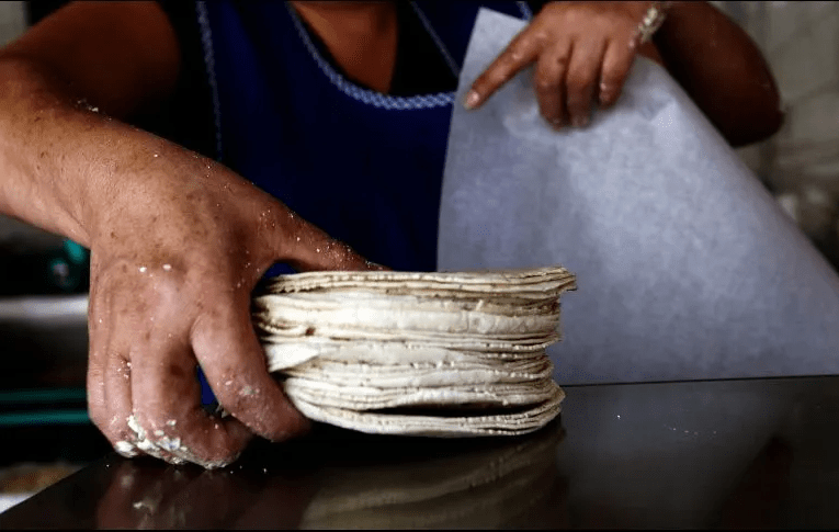 Advierten que precio de la tortilla podría llegar hasta a 24 pesos por kilo