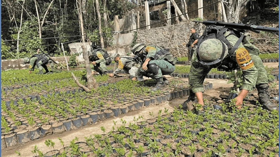 En febrero pasado, elementos del Ejército desmantelaron una zona de producción de cocaína en Atoyac de Álvarez, en Guerrero. Foto: Especial