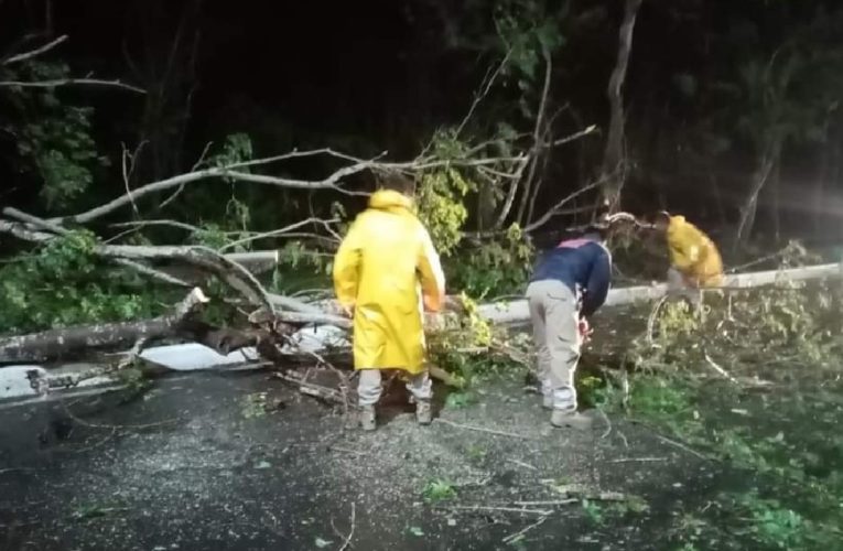 Desbordamientos y deslaves: los efectos de las lluvias en Guerrero