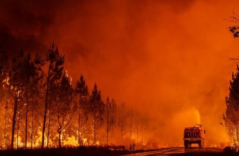 En México se han registrado tres mil 093 incendios forestales, y 491 de ellos (16%) fueron en Jalisco