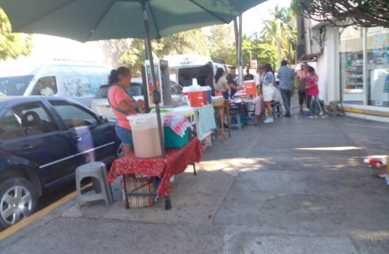 n total de 40 palmeras y otras 40 plantas de ornato fueron sembradas en la banqueta de la avenida Costera Miguel Alemán, esta reforestación dará sombra ante las altas temperaturas que se viven en el puerto. 