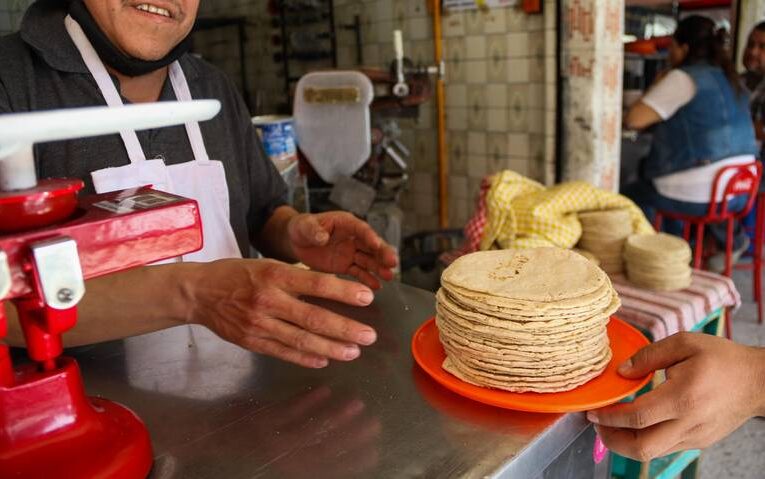 Arcadio Castro Santos informó que a raíz de la compra tres mil toneladas de maíz por parte del gobierno estatal, el precio de la tortilla se mantendrá estable lo que resta del año.