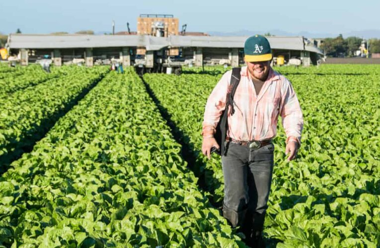 Estados Unidos y Canadá colaboración para prohibir la entrada a América del Norte de importaciones producidas con trabajo forzoso