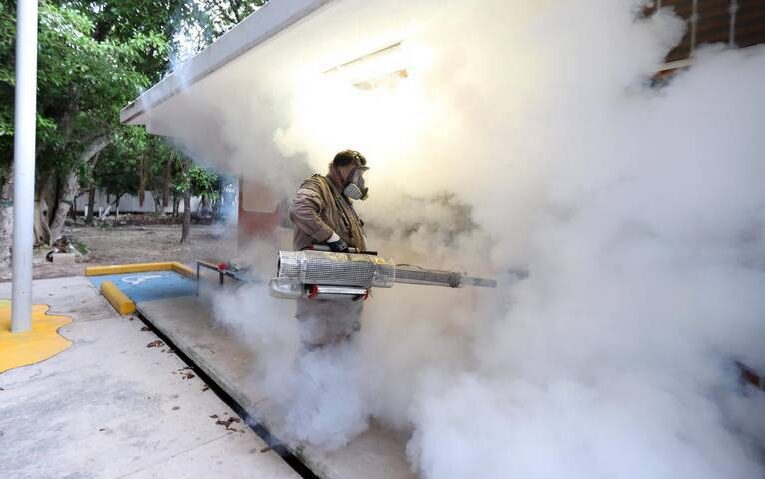 De nuevo, en aumento los casos de dengue en Guerrero