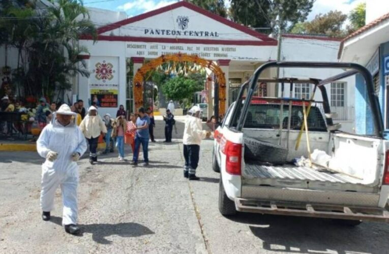 Reportan 21 homicidios en el estado de Guerrero