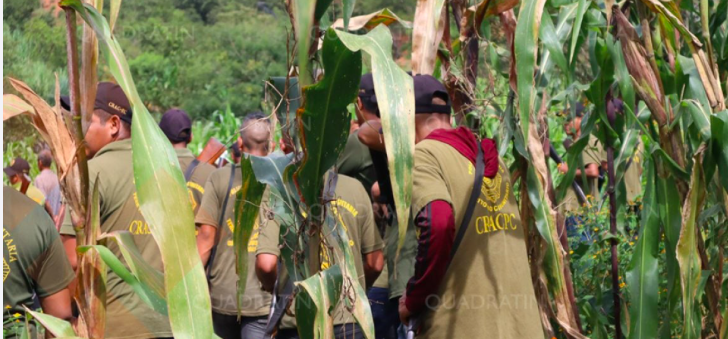 Pobladores de Guerrero denuncian que se privó de su libertad a 4 personas en el estado