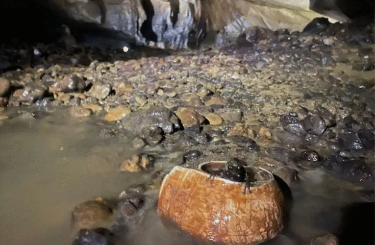 ¡Sorprendente hallazgo en la sierra de Guerrero deja sin palabras a arqueólogos!
