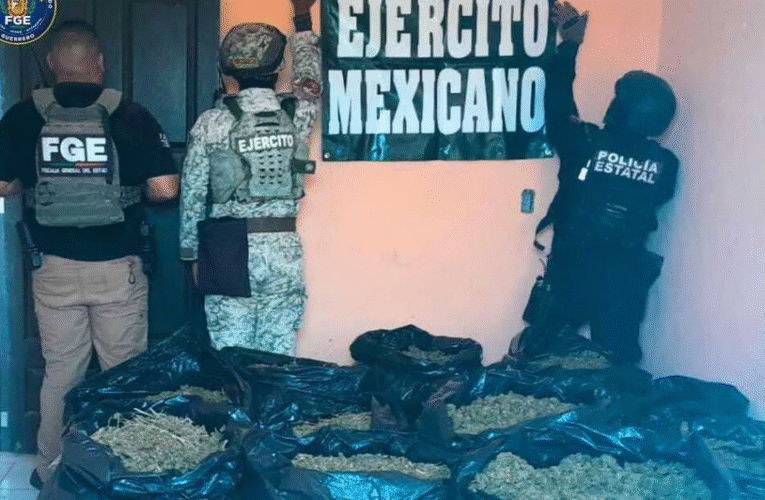 Operativo en Guerrero: liberan a migrante secuestrado y decomisan 80 kilos de droga